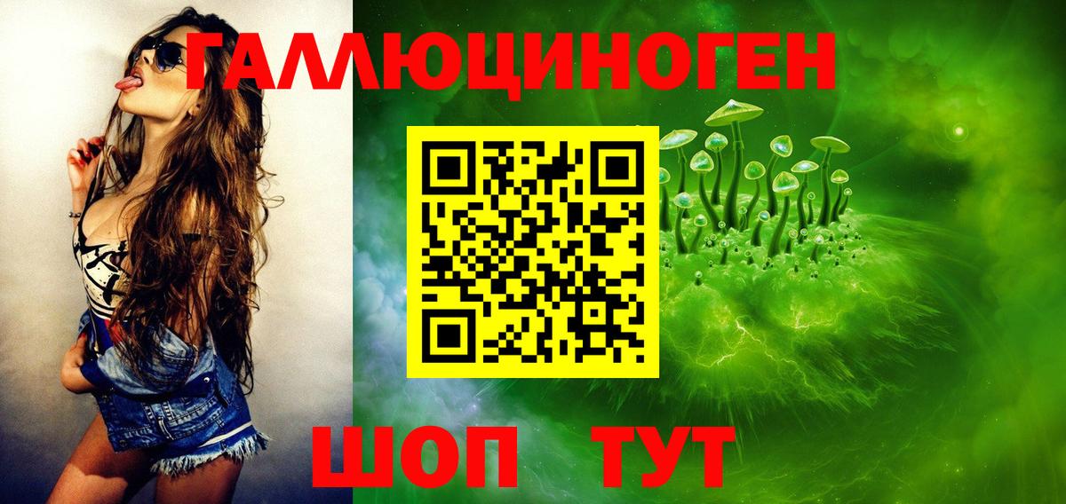 ГАШ Добрянка