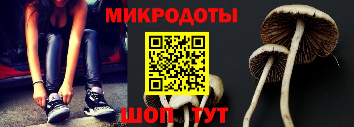 Псилоцибиновые грибы Psilocybe  Вход с VPN  Галлюциногенные грибы GOLDEN TEACHER  Добрянка 